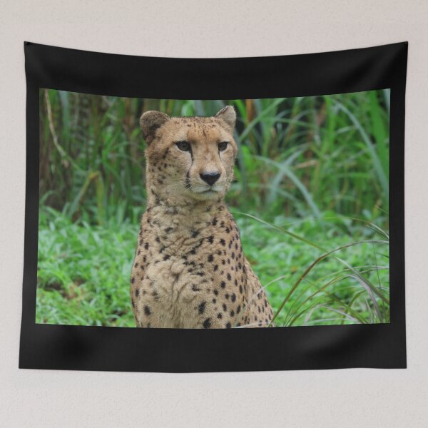 Item preview, Cheetah 2 designed and sold by LeanneAllen.
