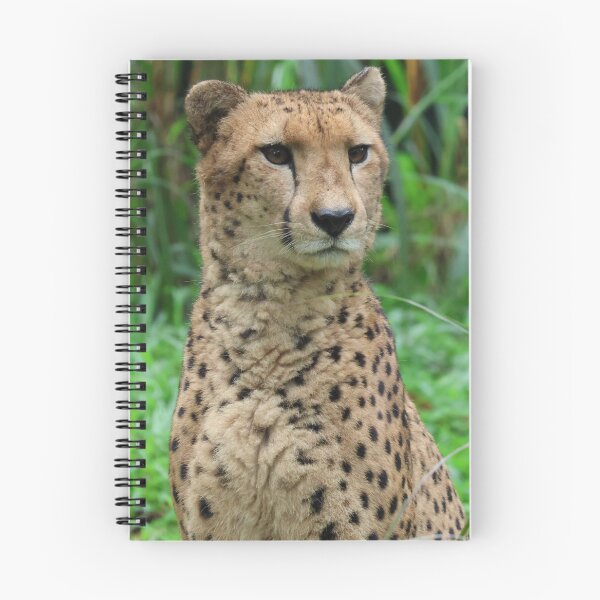 Item preview, Cheetah 2 designed and sold by LeanneAllen.