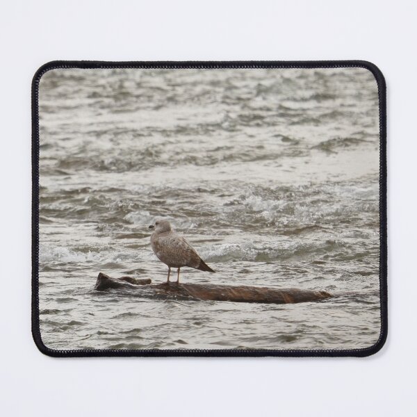 Item preview, Bored but Watchful designed and sold by fototaker Tony.