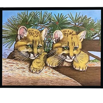 Artwork thumbnail, Cubs by RayRaysX2