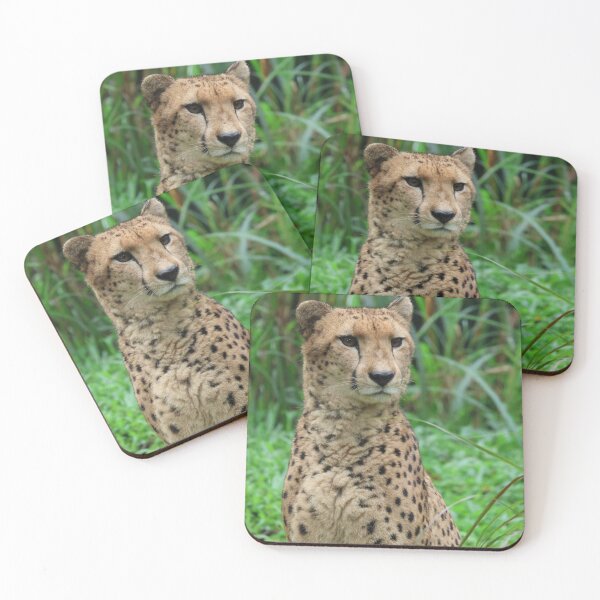 Item preview, Cheetah 2 designed and sold by LeanneAllen.