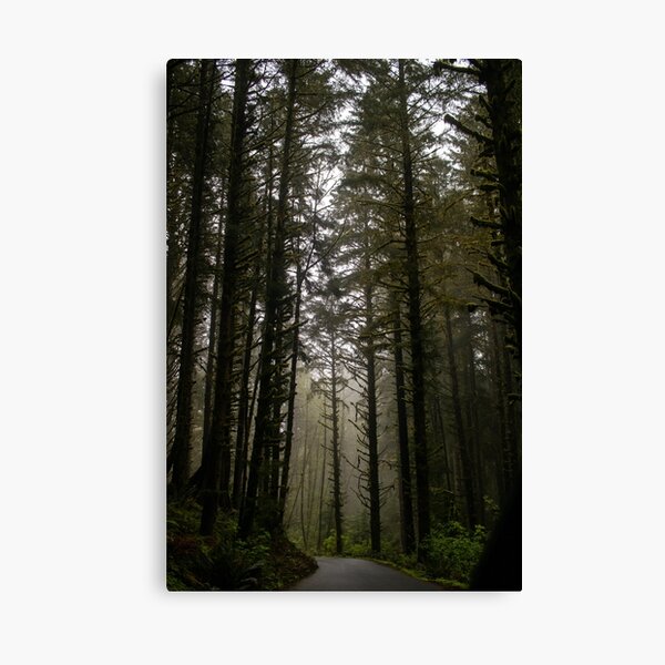 Item preview, Coastal Forest designed and sold by CanaryandPines.