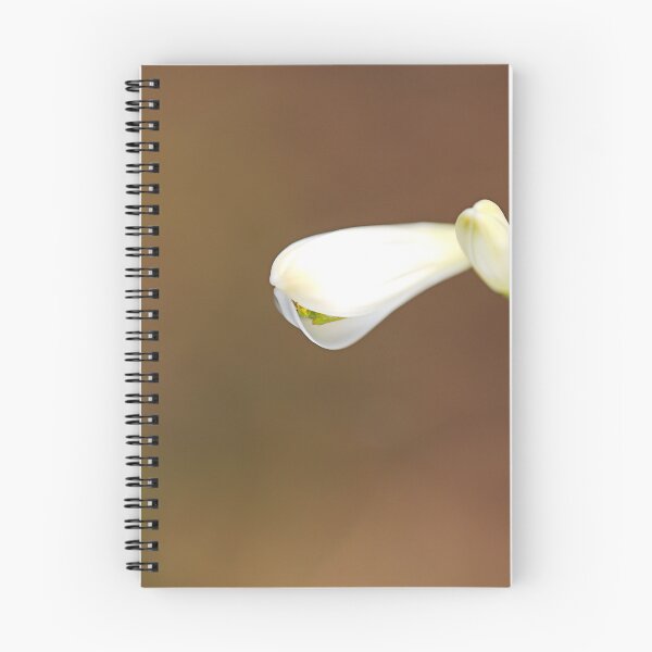 Item preview, White Bud Lily Of The Nile designed and sold by Joy Watson - Natural Light Photography .