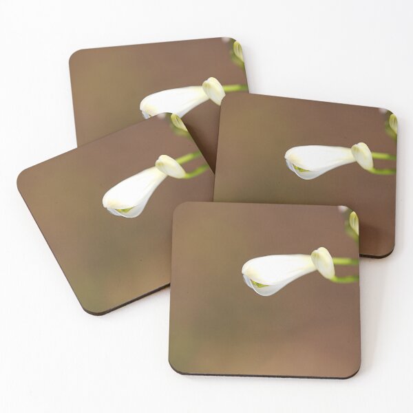 Item preview, White Bud Lily Of The Nile designed and sold by Joy Watson - Natural Light Photography .