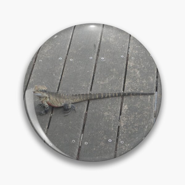 Item preview, Frill-Necked Lizard, Parramatta, Australia 20230113 designed and sold by muz2142.