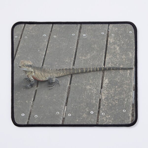 Item preview, Frill-Necked Lizard, Parramatta, Australia 20230113 designed and sold by muz2142.
