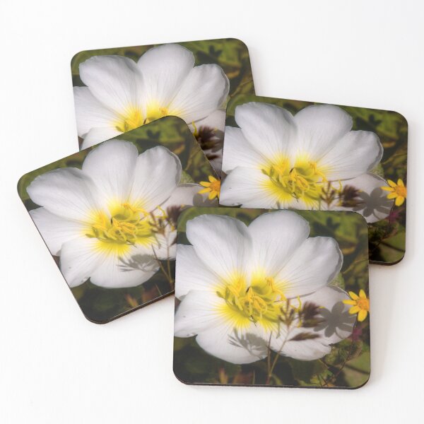 Item preview, White Flower designed and sold by Alla Gill.