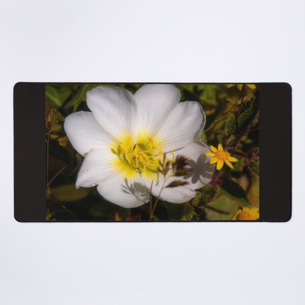 Item preview, White Flower designed and sold by Alla Gill.