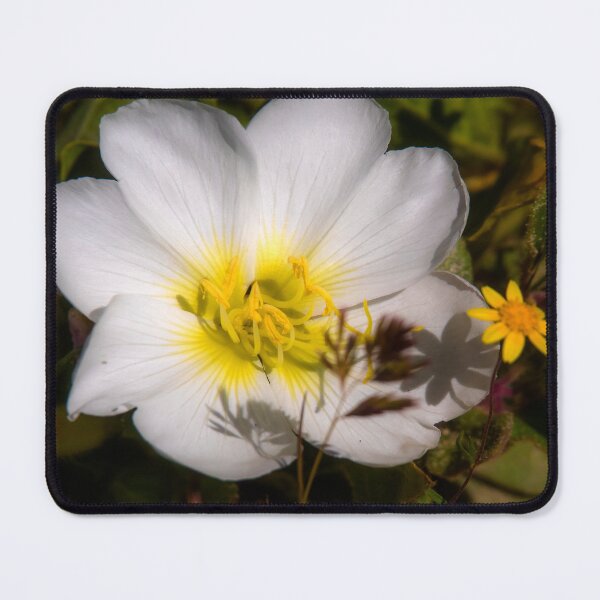 Item preview, White Flower designed and sold by Alla Gill.