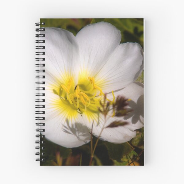 Item preview, White Flower designed and sold by Alla Gill.