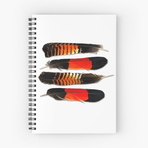 Item preview, Red tailed black cockatoo feathers  designed and sold by Esti Nagy.