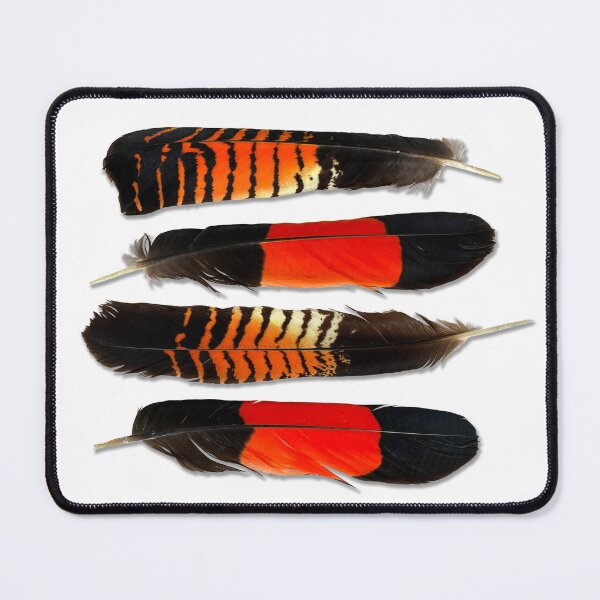 Item preview, Red tailed black cockatoo feathers  designed and sold by Esti Nagy.