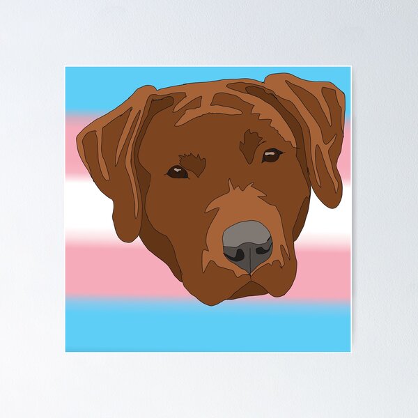 Item preview, Copy of Transgender pride red lab designed and sold by LeahcarsArt.