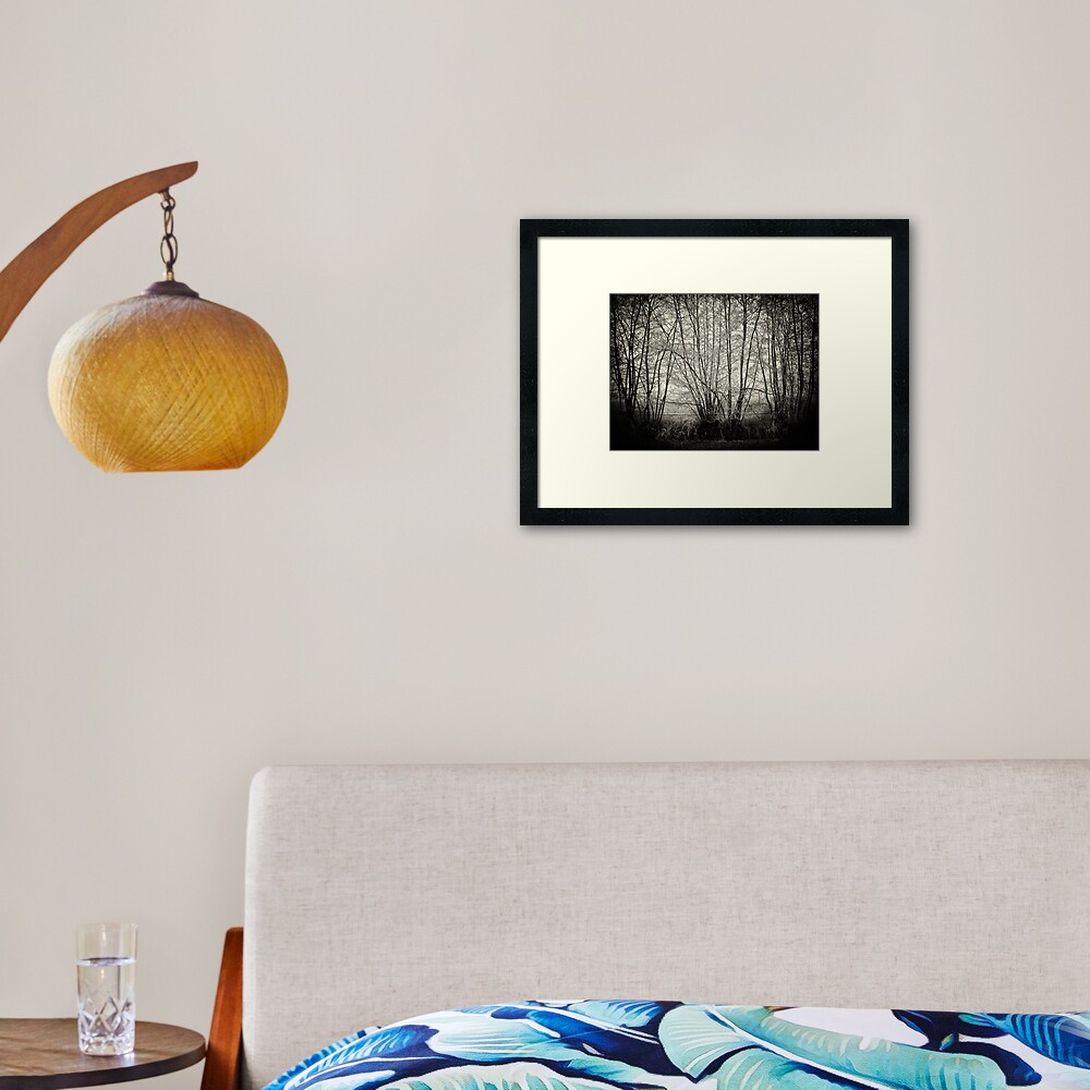 branches in the mist Framed Art Print