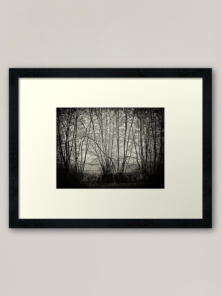 Alternate view of branches in the mist Framed Art Print