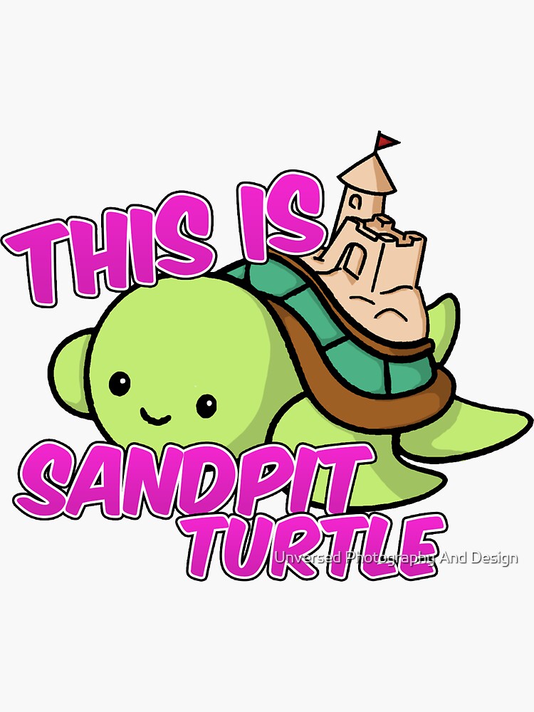 lil turtle sandpit