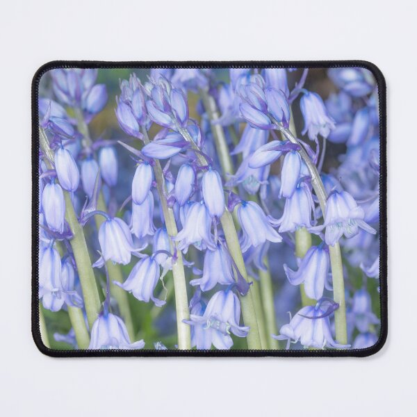 Item preview, Spring Bluebells designed and sold by Dave Hare Photography.