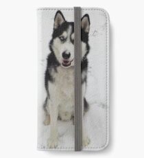 Husky in snow iPhone Wallet/Case/Skin