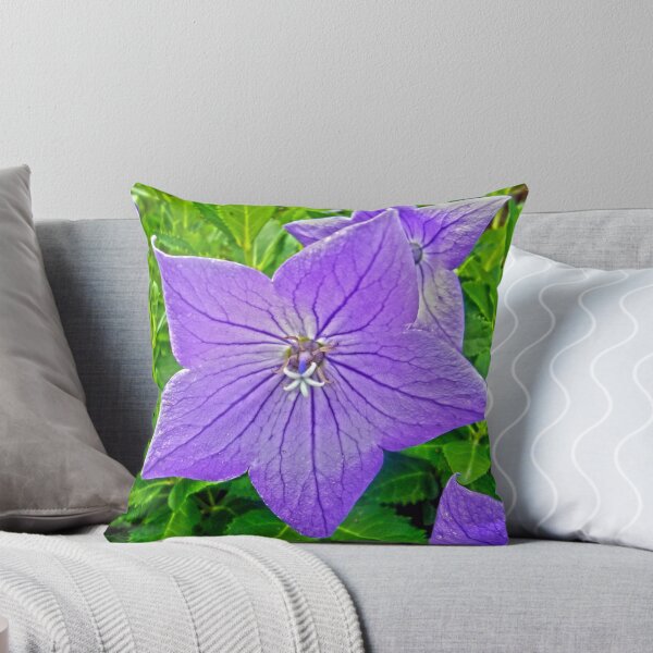 Item preview, Balloon Flower designed and sold by Frankie Cat Photography.