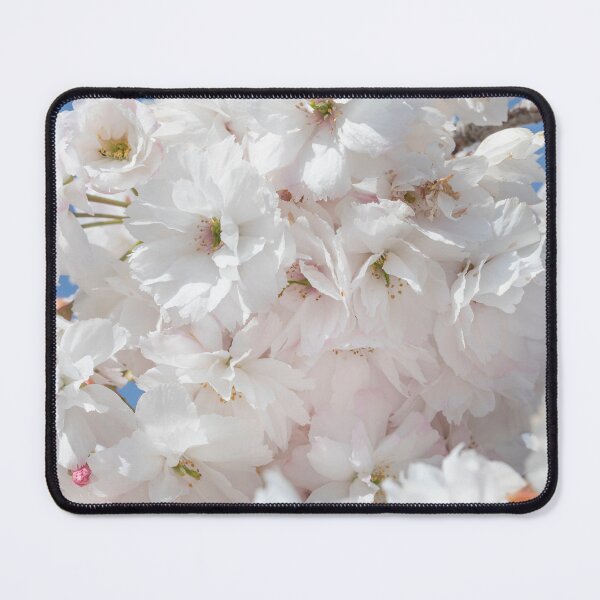 Item preview, White Blossoms designed and sold by Dave Hare Photography.