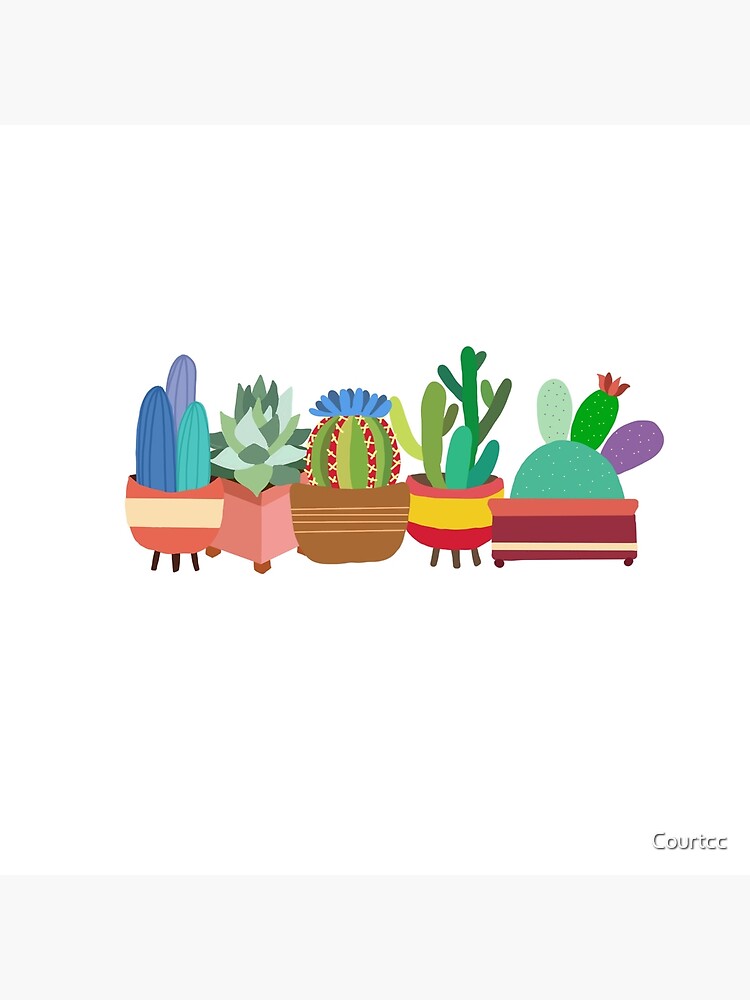 Colorful Cacti by Courtcc