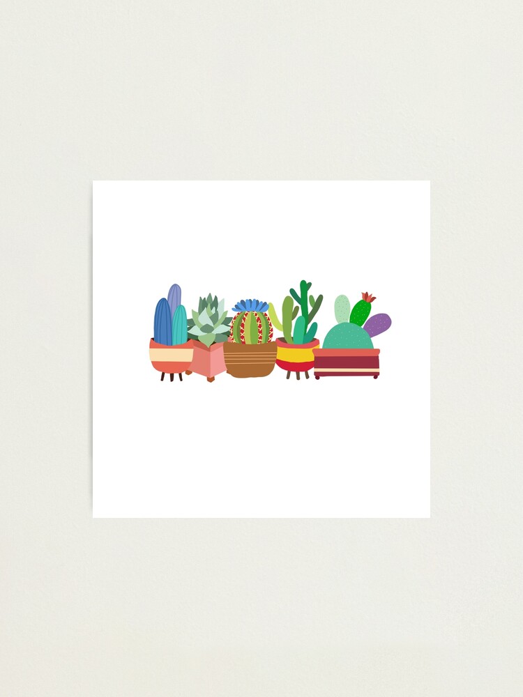 Alternate view of Colorful Cacti Photographic Print