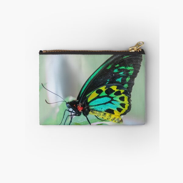 Item preview, Butterfly 17 designed and sold by Jacquiamber.