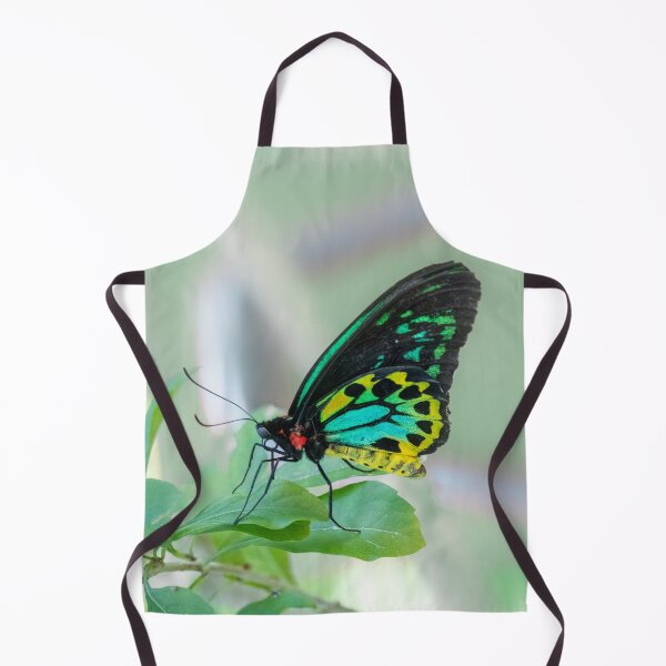 Artikelvorschau, Schmetterling 17 entworfen und verkauft von Jacquiamber.