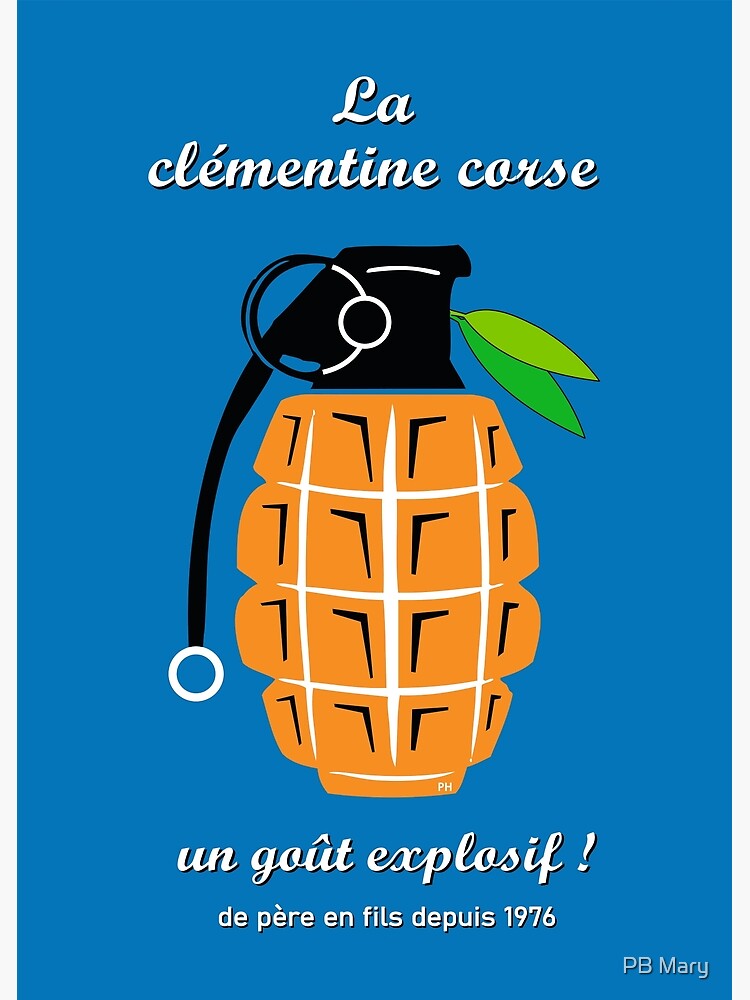 Discover Corsica Corsica Corse island flinc and Bastia Ajaccio France Vintage Premium Malte Vertical Poster