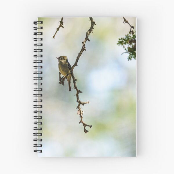 Item preview, Hammond's Flycatcher designed and sold by Debra Martz.