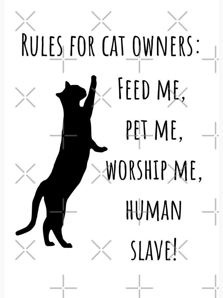 Rules For Cat Owners. Funny Cat Rules For Human Slaves&quot; Art Board 