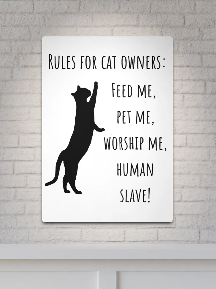 Funny Cat Lovers Verified Slave Meme - Funny Cat Lover Quote