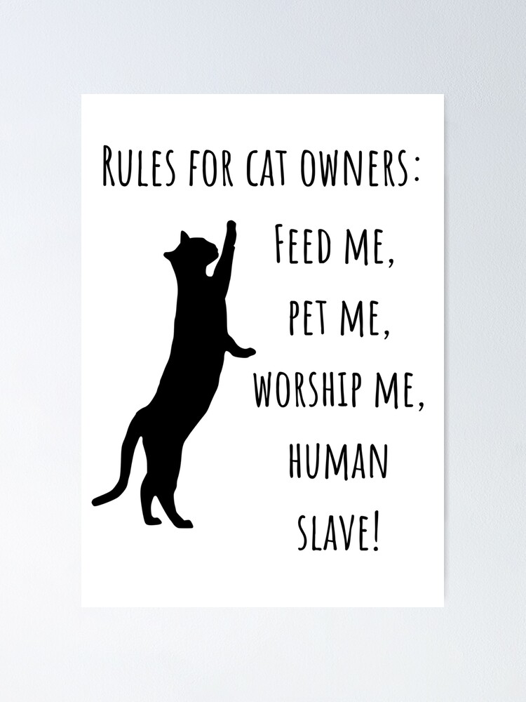 Rules For Cat Owners. Funny Cat Rules For Human Slaves&quot; Poster for 