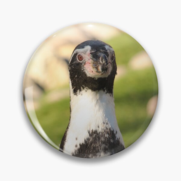Item preview, Humboldt penguin up close nature beauty designed and sold by eddiebarronshop.