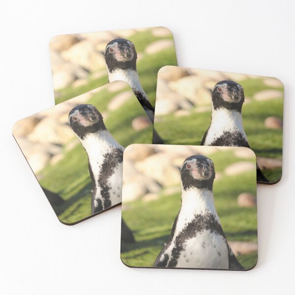 Item preview, Humboldt penguin up close nature beauty designed and sold by eddiebarronshop.