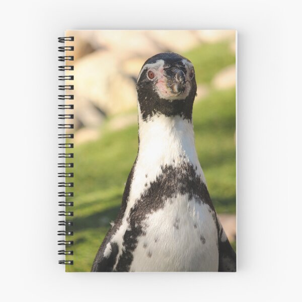 Item preview, Humboldt penguin up close nature beauty designed and sold by eddiebarronshop.