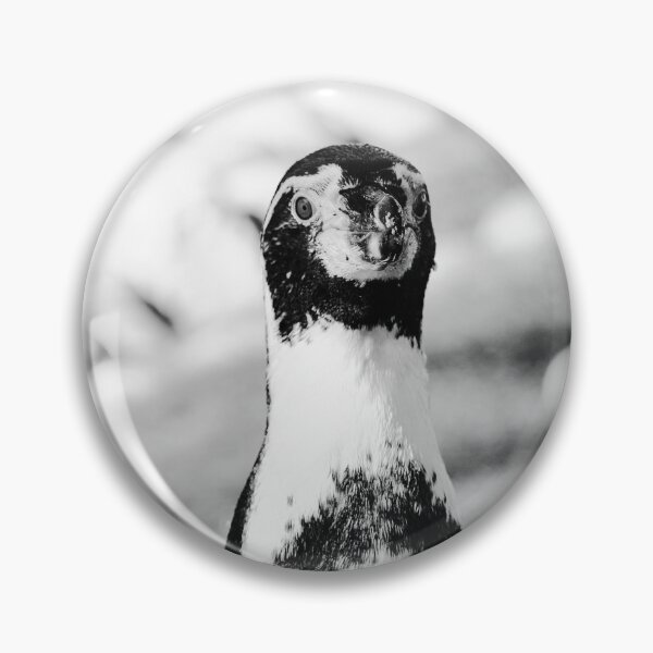 Item preview, Humboldt penguin up close beauty in nature black and white  designed and sold by eddiebarronshop.