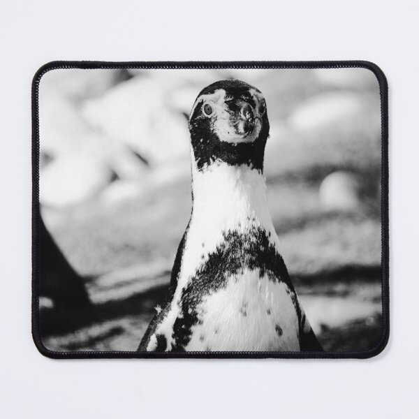 Item preview, Humboldt penguin up close beauty in nature black and white  designed and sold by eddiebarronshop.