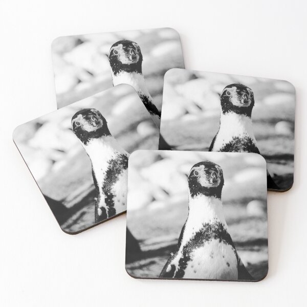 Item preview, Humboldt penguin up close beauty in nature black and white  designed and sold by eddiebarronshop.