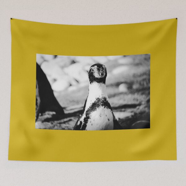 Item preview, Humboldt penguin up close beauty in nature black and white  designed and sold by eddiebarronshop.