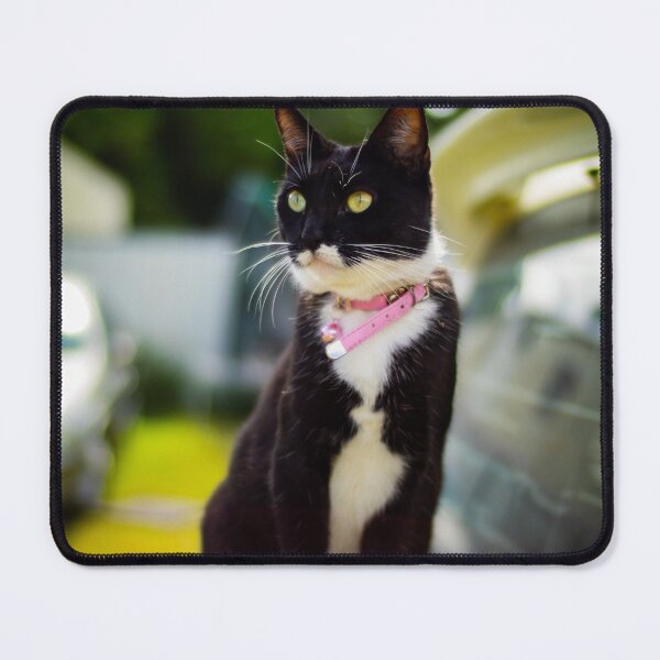 Item preview, cat designed and sold by william672.