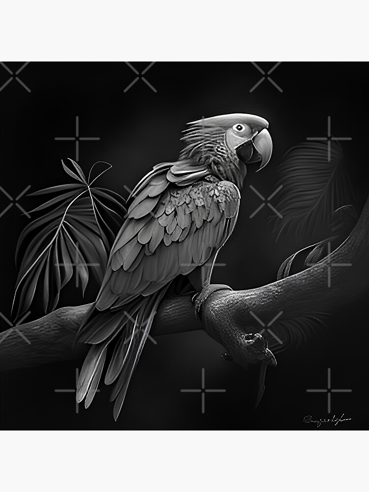 loro dibujo en blanco y negro