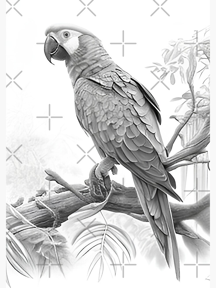 Simple Birds Drawing with Pencil Sketch | Simple Birds Drawing with Pencil  Sketch #draw #drawing #art #artwork #artist #sketching #sketchbook  #pencilsketch #pencildrawing #bird #birds #birdart... | By Sayataru  CreationFacebook