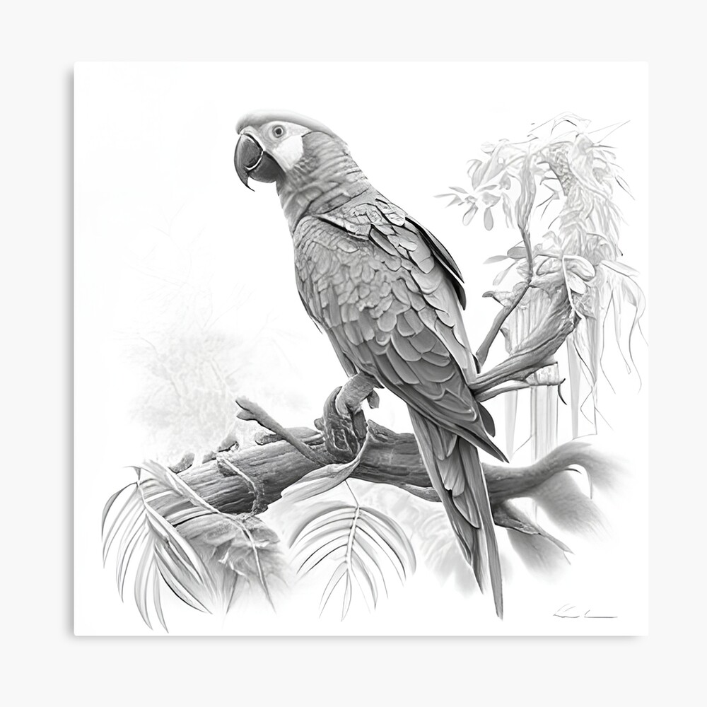 I Thought You Guys Might Appreciate My First Attempt At Realistic Art : r/ parrots