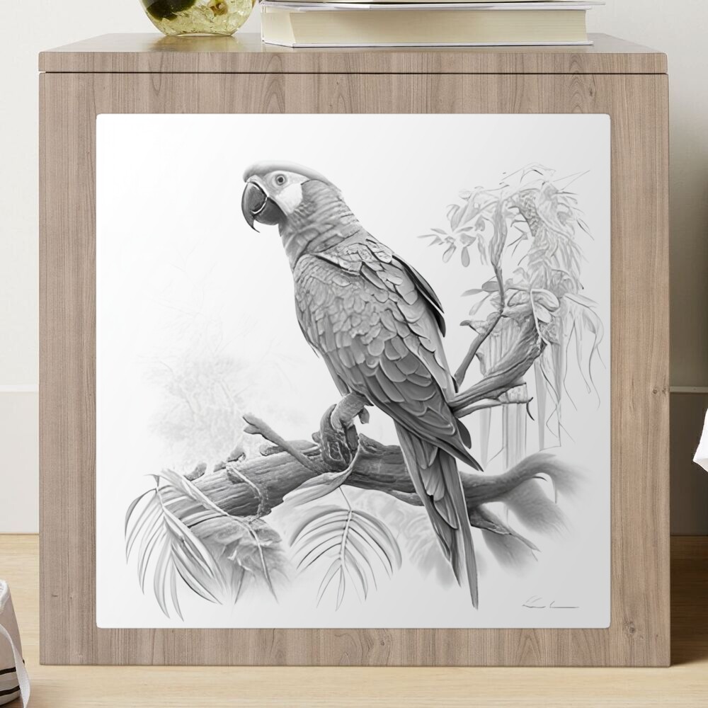 Drawing of My Parrot