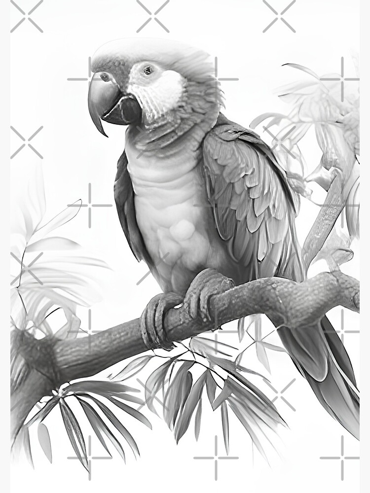 How to draw a beautiful parrot | Realistic pencil sketch drawing step by  step - YouTube