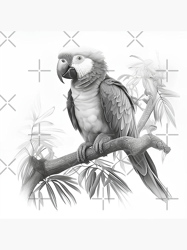 Blue-and-yellow macaw parrot animal drawing art | MDubIllustrations