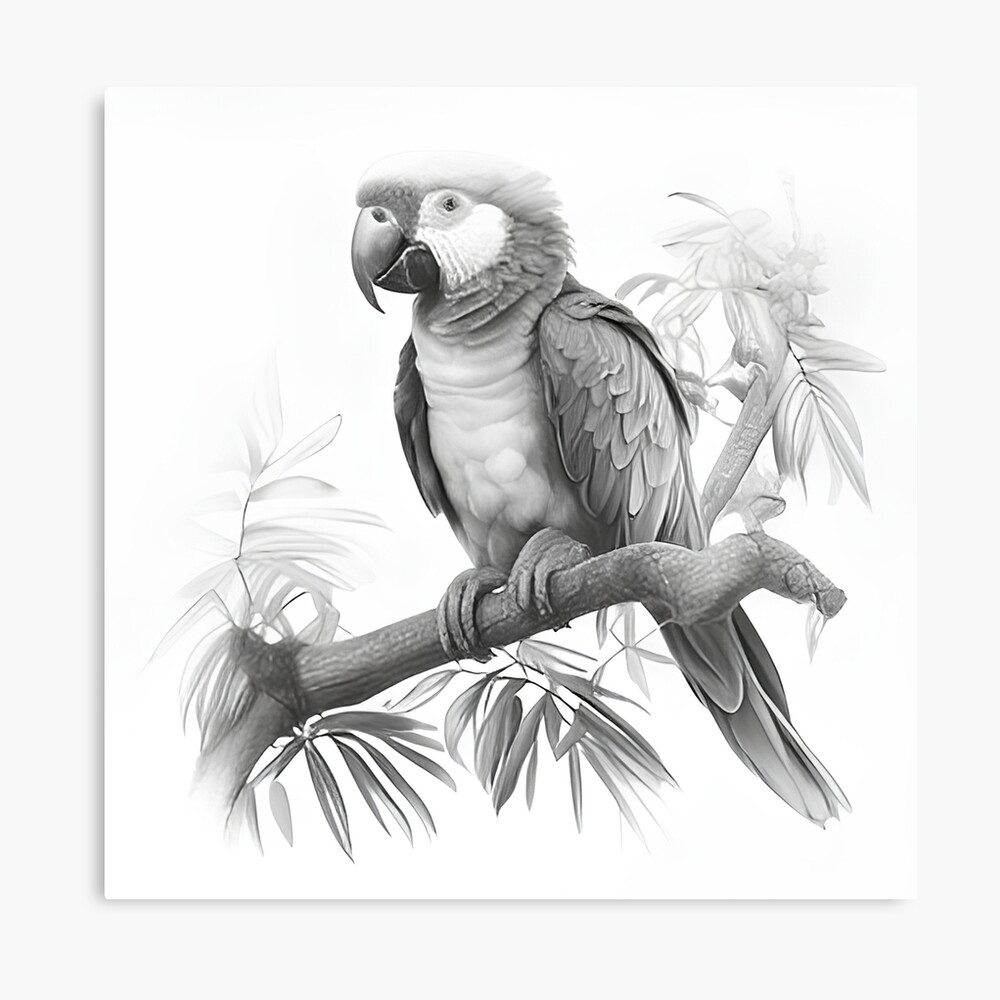 Parrot Bird Parakeet Sketch, Parrot on a branch, animals, tree Branch png |  PNGEgg