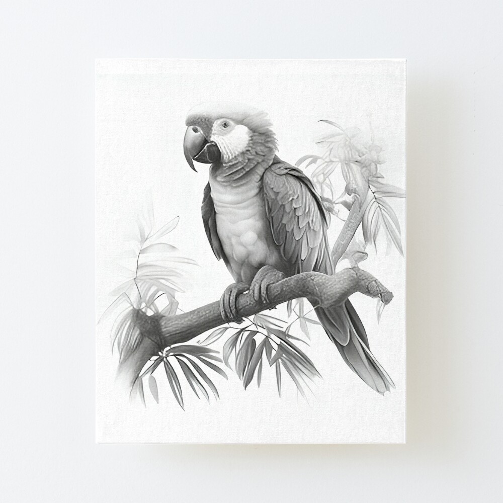 ArtStation - Pencil Parrot