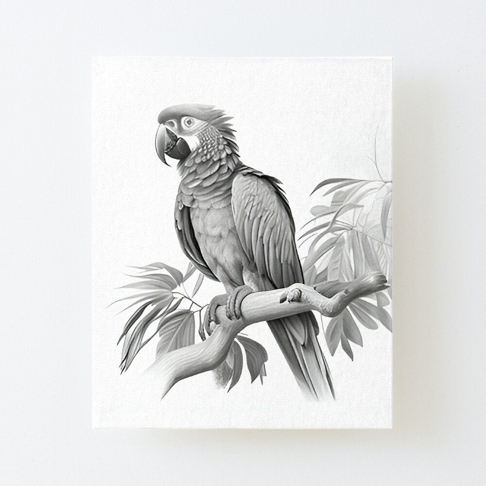Premium Vector | Parrot drawing in one continuous line sketch-gemektower.com.vn